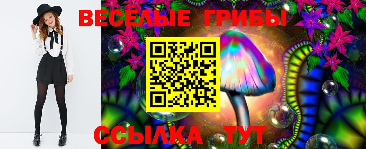 Галлюциногенные грибы Psilocybe  Вход с VPN  Майский 